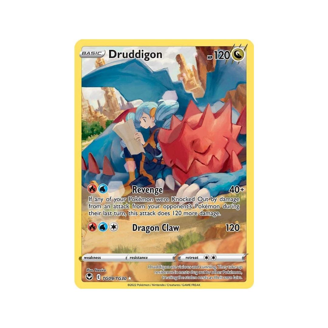 Druddigon Illustration Rare TG09/TG30 English Pokémon TCG Single Near Mint