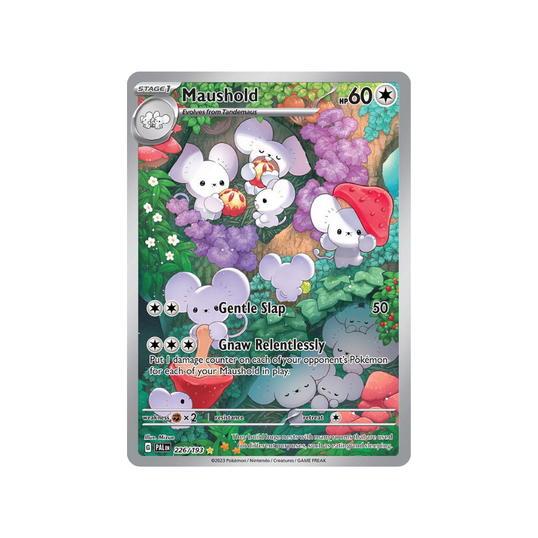 Maushold IR PAL 226/193 - kit TCG