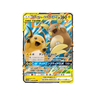 Raichu & Alolan Raichu GX sm10a 8/54 - kit TCG